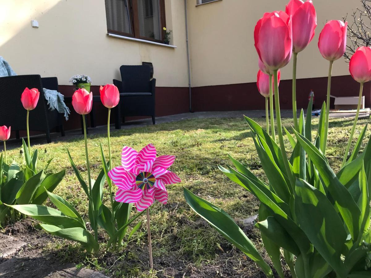 Casa Marherita Appartman Hajdúszoboszló Екстериор снимка